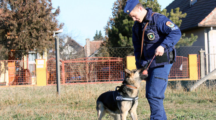 Daisy is szolgálatban / Fotó: police.hu