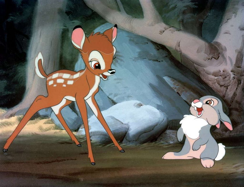 Bambi i Tuptuś istnieją naprawdę