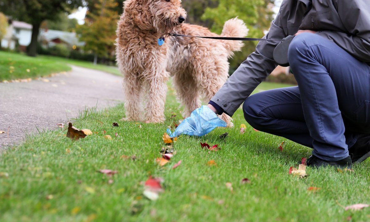 Mieszkańcy miast tego nie znoszą. Aż 65 proc. ludzi wskazuje jeden problem