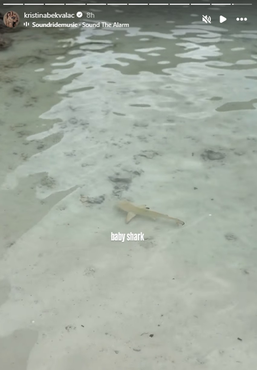 Kristina uslikala ajkulu u vodi