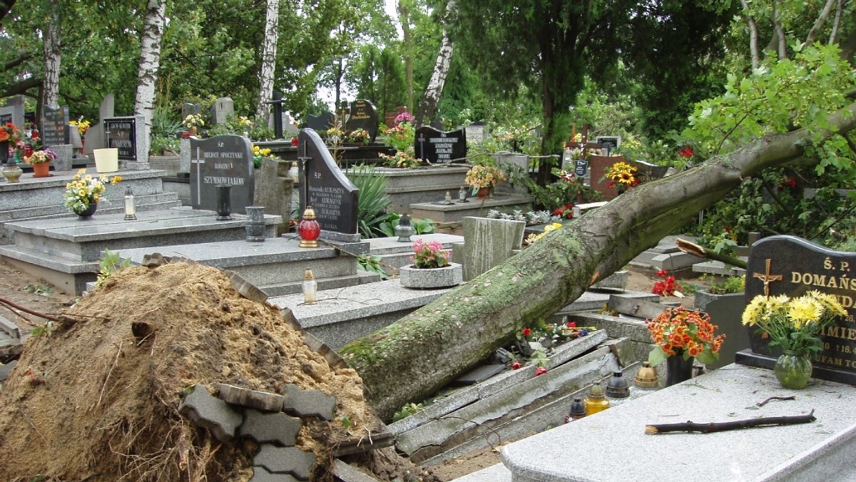 Osiem ofiar śmiertelnych, 82 osoby poszkodowane, wiele zniszczonych domów, budynków gospodarczych, samochodów, a także linii energetycznych i kolejowych sieci trakcyjnych - to bilans nawałnic, które w czwartek wieczorem przeszły nad Polską. W weekend burze pojawią się sporadycznie i nie powinny być tak intensywne. Będzie za to deszczowo i chłodno.