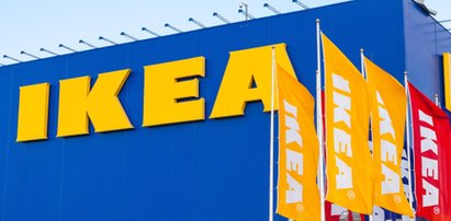 IKEA będzie tym teraz karmić klientów. Nie uwierzycie!