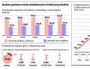 Budżet państwa szuka dodatkowych źródeł przychodów