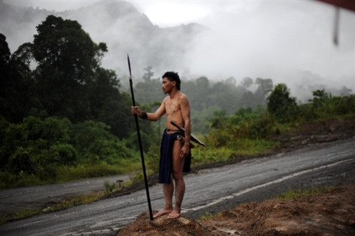 MALAYSIA - PENAN - NOMADS - ENVIRONMENT