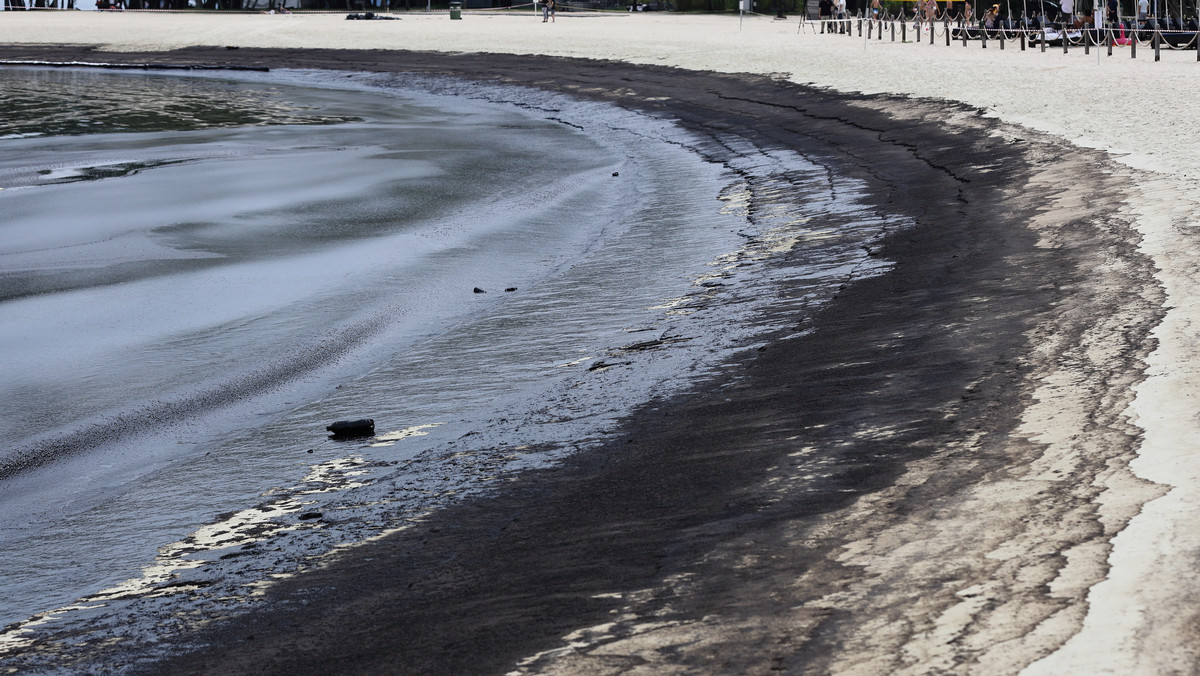 Wyciek ropy na singapurskich plażach. Szczególne zagrożenie dla zwierząt