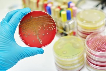 Megelőzhető az MRSA?