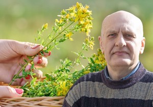 Kantarion se pokazao kao izuzetno koristan u lečenju različitih bolesti, kaže Marko Nestorović