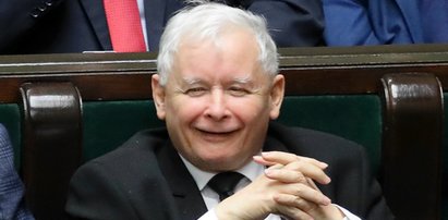 PiS ma powody do radości, Kukiz'15 do zastanowienia