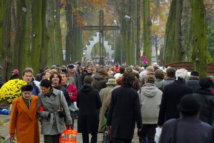 Komunikacja we Wszystkich Świętych