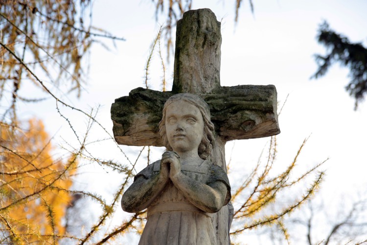 STARY CMENTARZ KATEDRALNY W ŁOMŻY