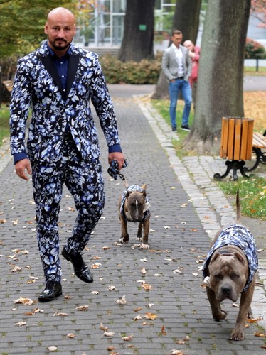 Artur Szpilka na spacerze ze swoimi psami