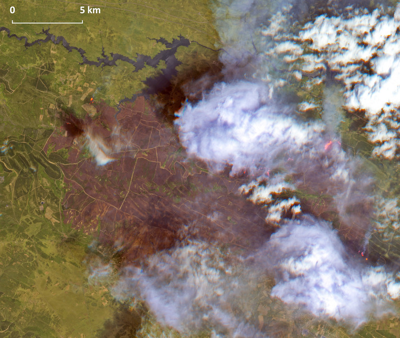 Pożar w prowincji Zamora, 18 czerwca 2022. Zdjęcie z satelity Sentinel-2, w ramach programu Copernicus UE
