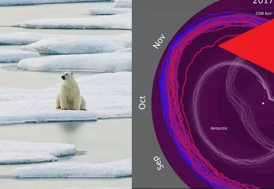 "Spirala śmierci". Wykres, który pokazuje, że lód na biegunach topnieje BŁYSKAWICZNIE