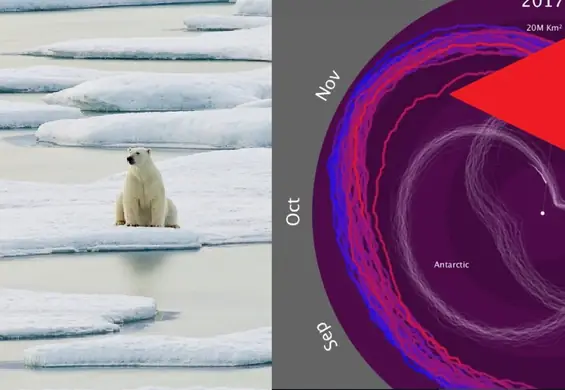 "Spirala śmierci". Wykres, który pokazuje, że lód na biegunach topnieje BŁYSKAWICZNIE