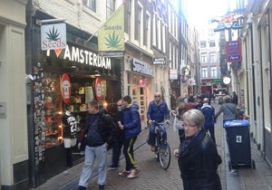 537636_20141110132606