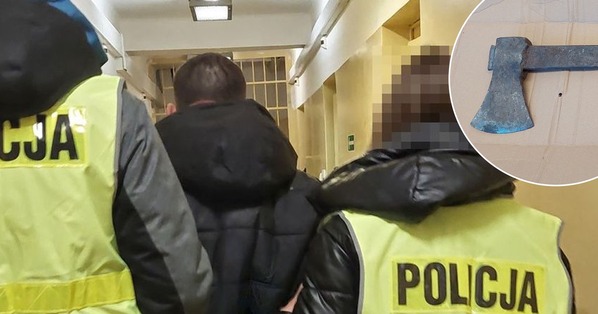 Sebastian K. zabił kota siekierą. Wstrząsające tłumaczenia. Sąd zdecydował