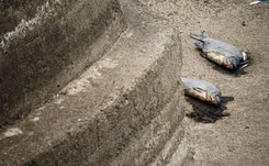 'Uwaga! Zanieczyszczona woda w Nerze'. RCB rozszerza alert