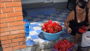 Lazići spremaju zimnicu u Brestaču
