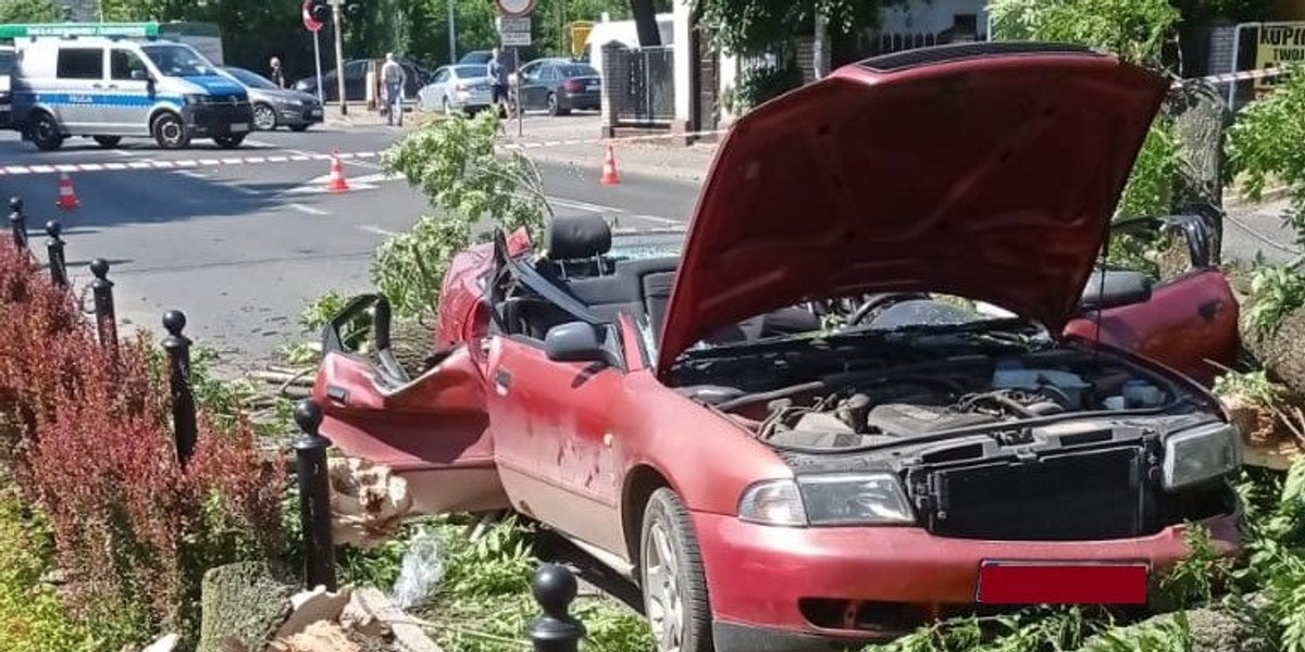 W Żywcu na samochód spadło drzewo.