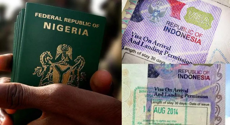 Nigerians now need NDLEA certificate to travel to Indonesia.