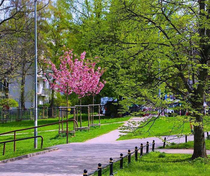 źródło: Urząd Dzielnicy Żoliborz