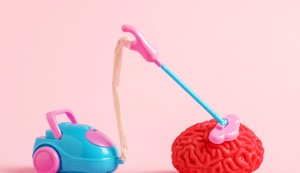 Prolećno čišćenje mozga oslobađa um i pospešuje pamćenje