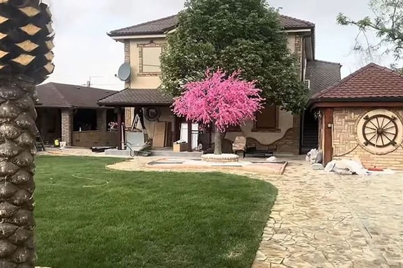 NA RASKOŠNOM IMANJU BAZEN I PALME, A U VILI STAKLENI ZID Pogledajte u kakvom bogatstvu se kupaju Aleksandra Subotić i Peca: Žive u suvom luksuzu kod Novog Sada