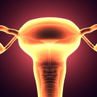 PCOS: a petesejtek termelődését is befolyásolja