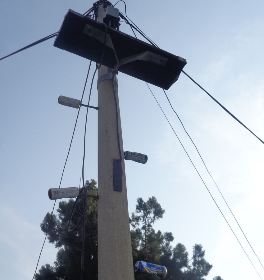 Peli se nekoliko metara da zakače limenke