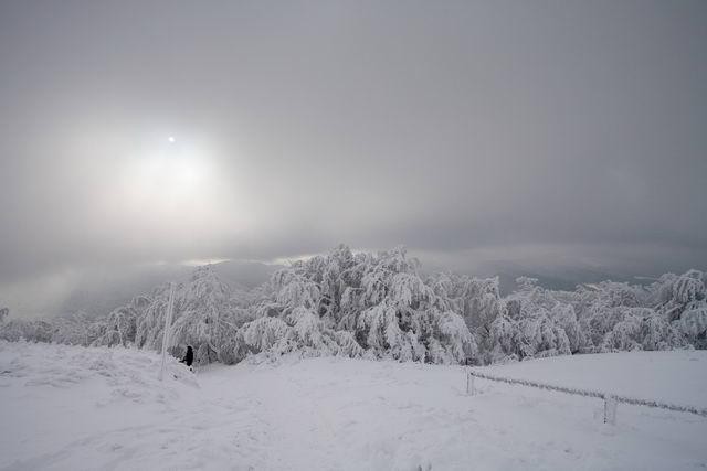 Galeria Polska - Bieszczady w zimowej szacie, obrazek 18