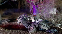 Halálos baleset: fának rohant egy autó Csopaknál, rommá tört – fotók
