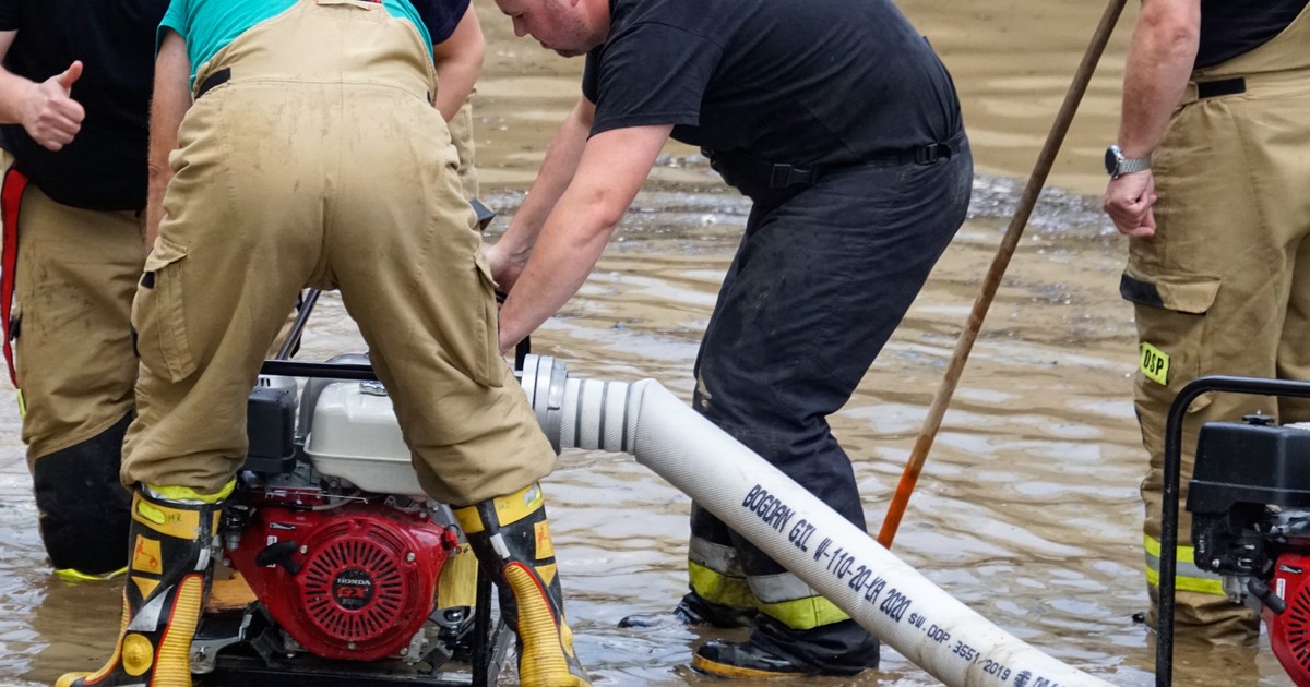 Efectos de las inundaciones. Habrá que vacunarlos