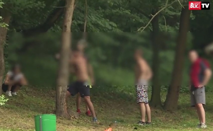 Prošlogodišnji incident u Košutnjaku