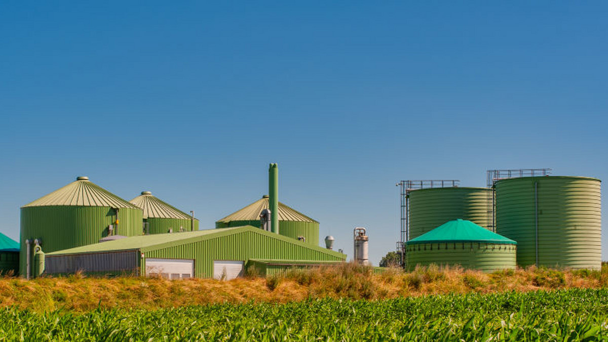 <strong>Biogaz za pomocą specjalistycznych rozwiązań można przemienić w energię elektryczną lub cieplną. Biorąc pod uwagę rosnące z roku na rok ceny za prąd oraz surowce używane do ogrzewania – to sposób na spore oszczędności. Co więcej, biogazownie rozwiązują problem z odpadami i pozostają przyjazne dla środowiska.</strong> 