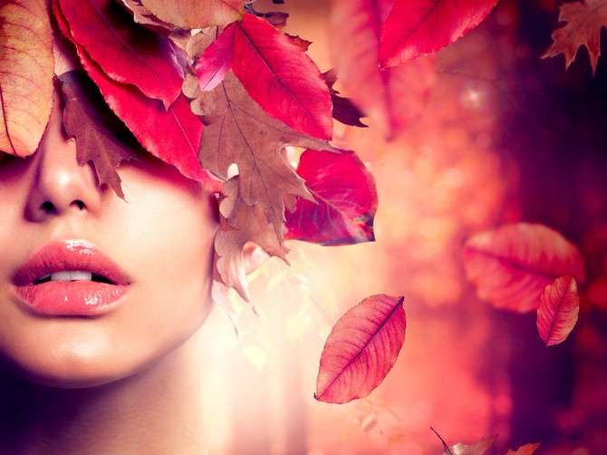 44610_shutterstock-115813879