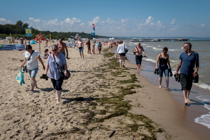 Plaża w Gdańsku Brzeźnie 
