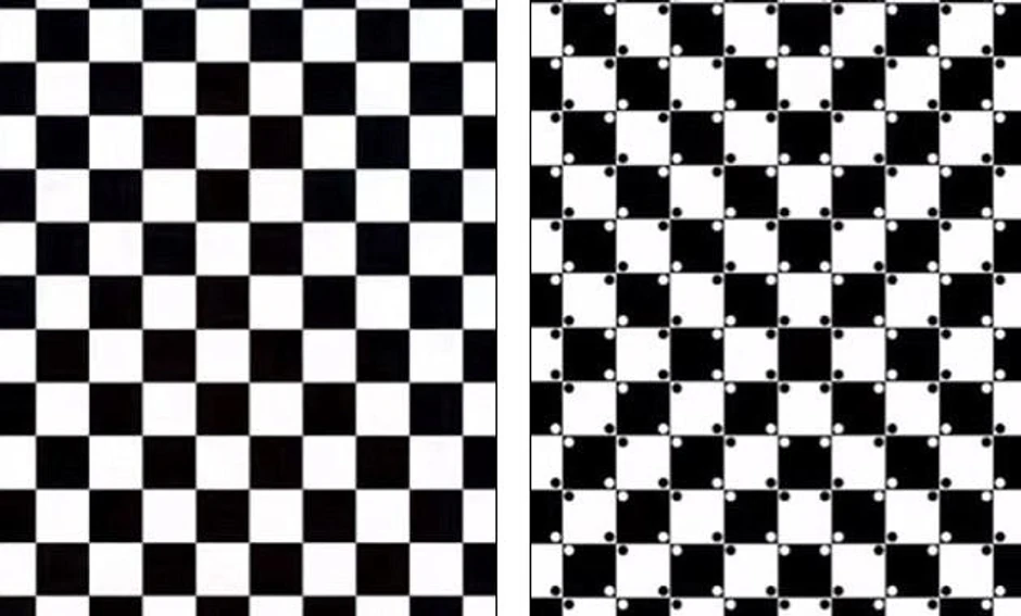 Prva deluje ravno, a druga kao da je iskrivljena. To je zato što naš vizuelni sistem stvoren da detektuje jake kontraste po horizontali i vertikali