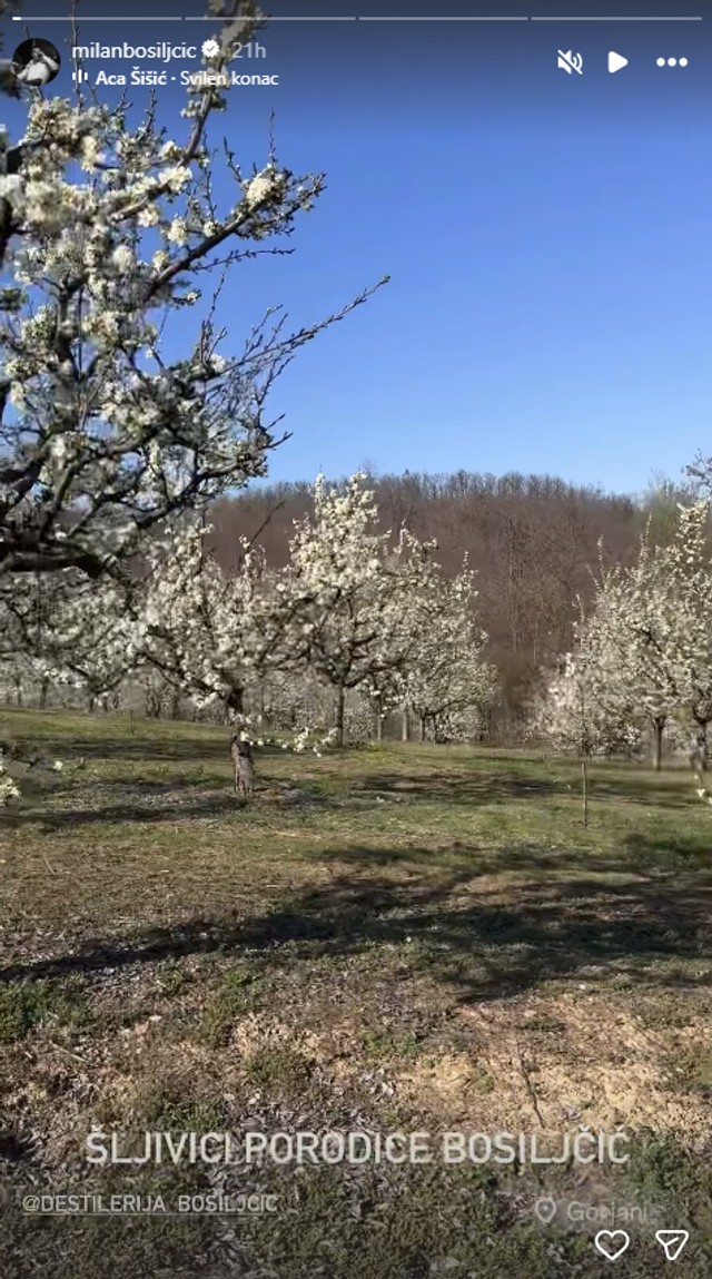 Milan Bosiljčić pokazao imanje