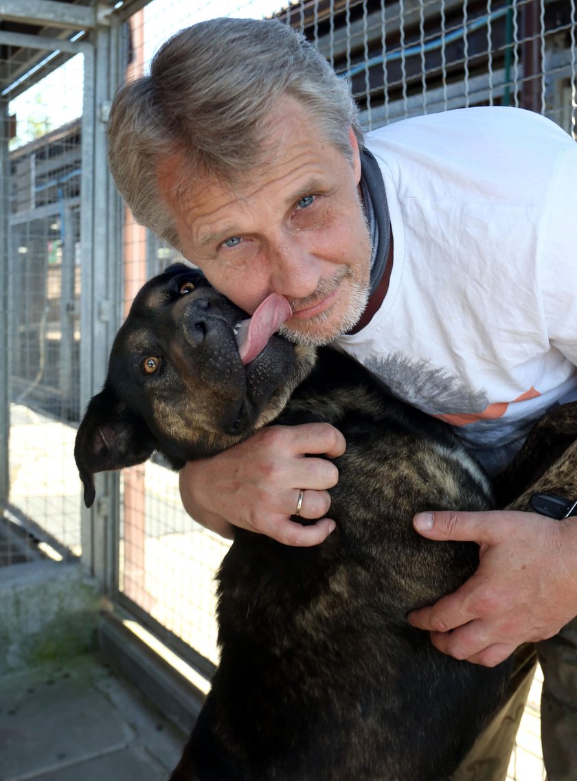 W schronisku Promyk w Gdańsku jest już 20 psów z Radys