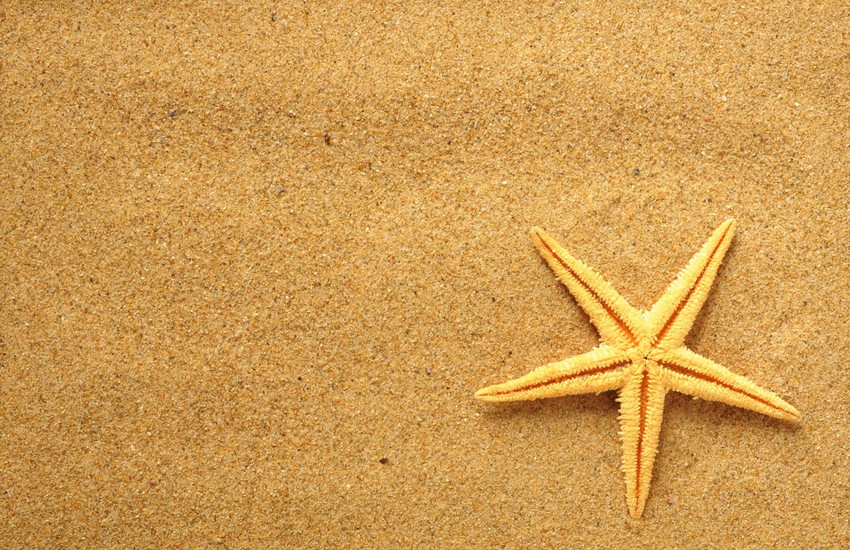 Topliji uslovi su stresni za mnoge domaćine virusa, pa samim tim pogoduju širenji bolesti