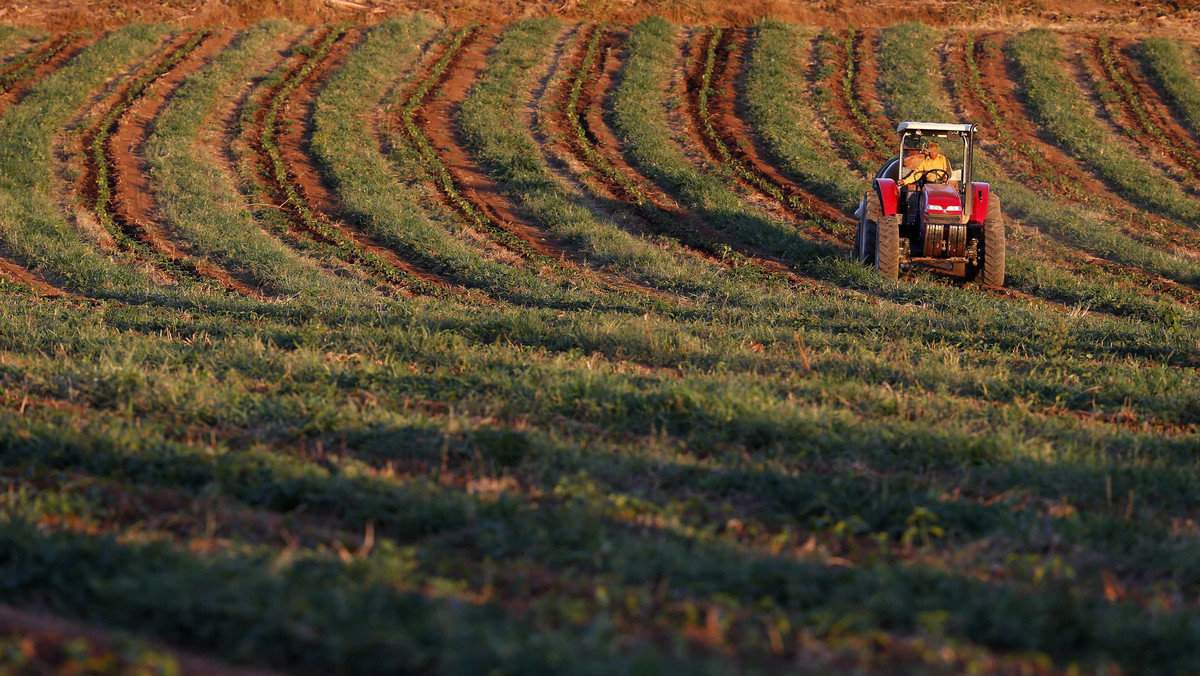 Ceny gruntów rolnych w województwie dolnośląskim w trzecim kwartale 2013 r. wzrosły o 20 proc. w stosunku do tego samego okresu rok wcześniej. Tendencja wzrostowa utrzymuje się już od kilku kwartałów.