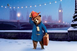 Paddington, miś na miarę naszych możliwości [ZDJĘCIA]