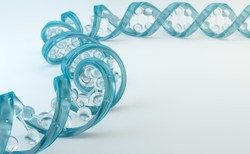 Odkryto nowe genetyczne warianty szkodzące sercu