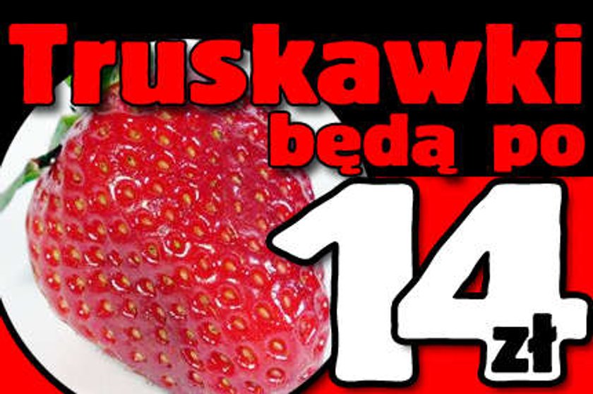 Truskawki po 14 złotych!