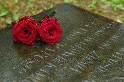 Polscy naukowcy prowadzą badania na miejscu ofiar UPA. "Zbiorowa mogiła, ta wieś już nie istnieje"