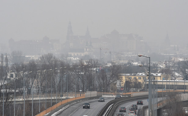 Smog szczególnie szkodliwy dla seniorów, dzieci i osób aktywnych. GIS ostrzega