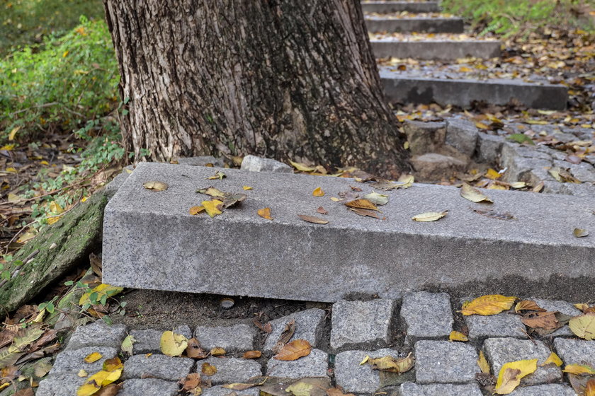 Będzie remont schodów na Górze Przemysła