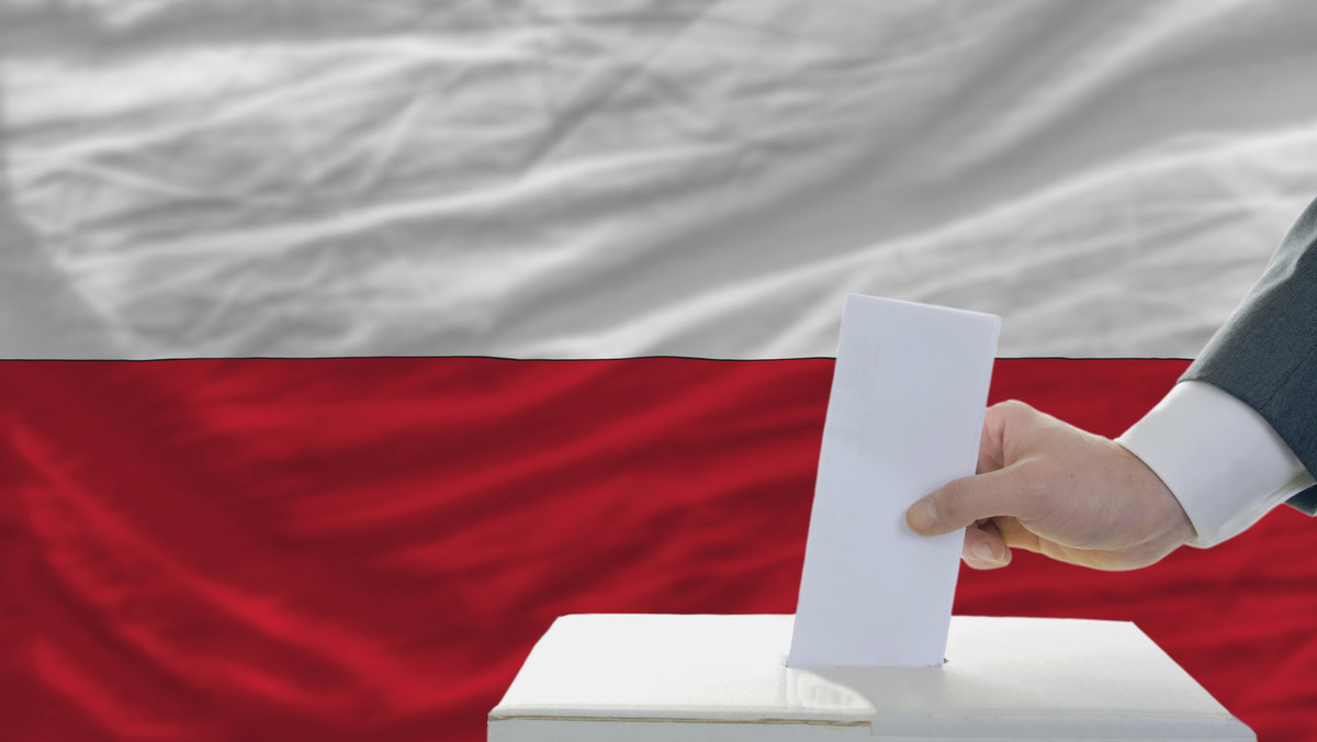 PiS ma najwięcej, 13 mandatów w sejmiku województwa lubelskiego; uzyskał 31,88 proc. głosów. PSL poparło 32,43 proc. głosujących, ale przypadło mu 12 mandatów. PO zdobyło 7 mandatów, uzyskując 19,17 proc. poparcia, natomiast SLD – 1 mandat, 6,94 proc. głosów.