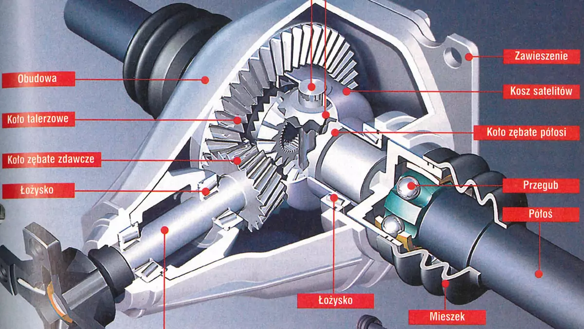 Jak działa mechanizm różnicowy?