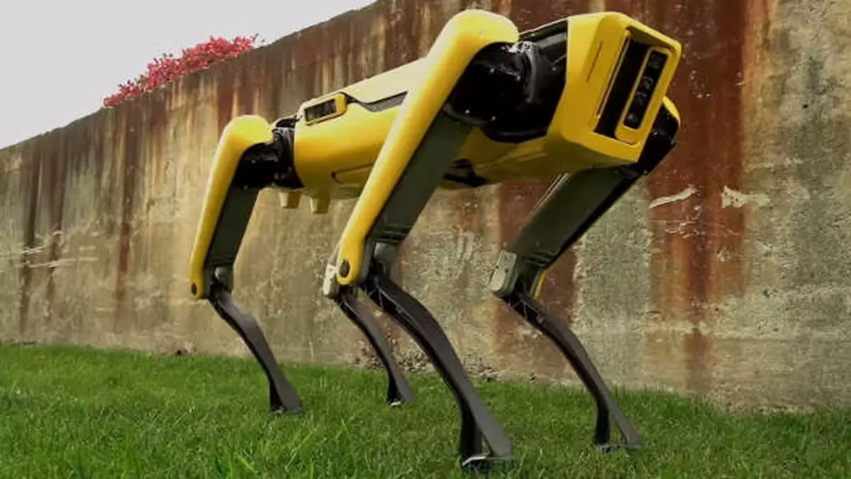 Robot Boston Dynamics pojawi się w sprzedaży w przyszłym roku